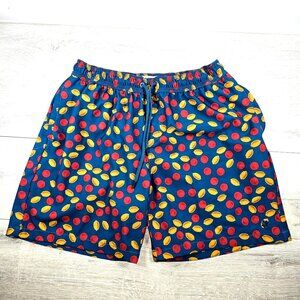 Lucky Brand Mens Swim Suit Trunks Shorts Sz L Multicolor Draw Cord Elastic Waist